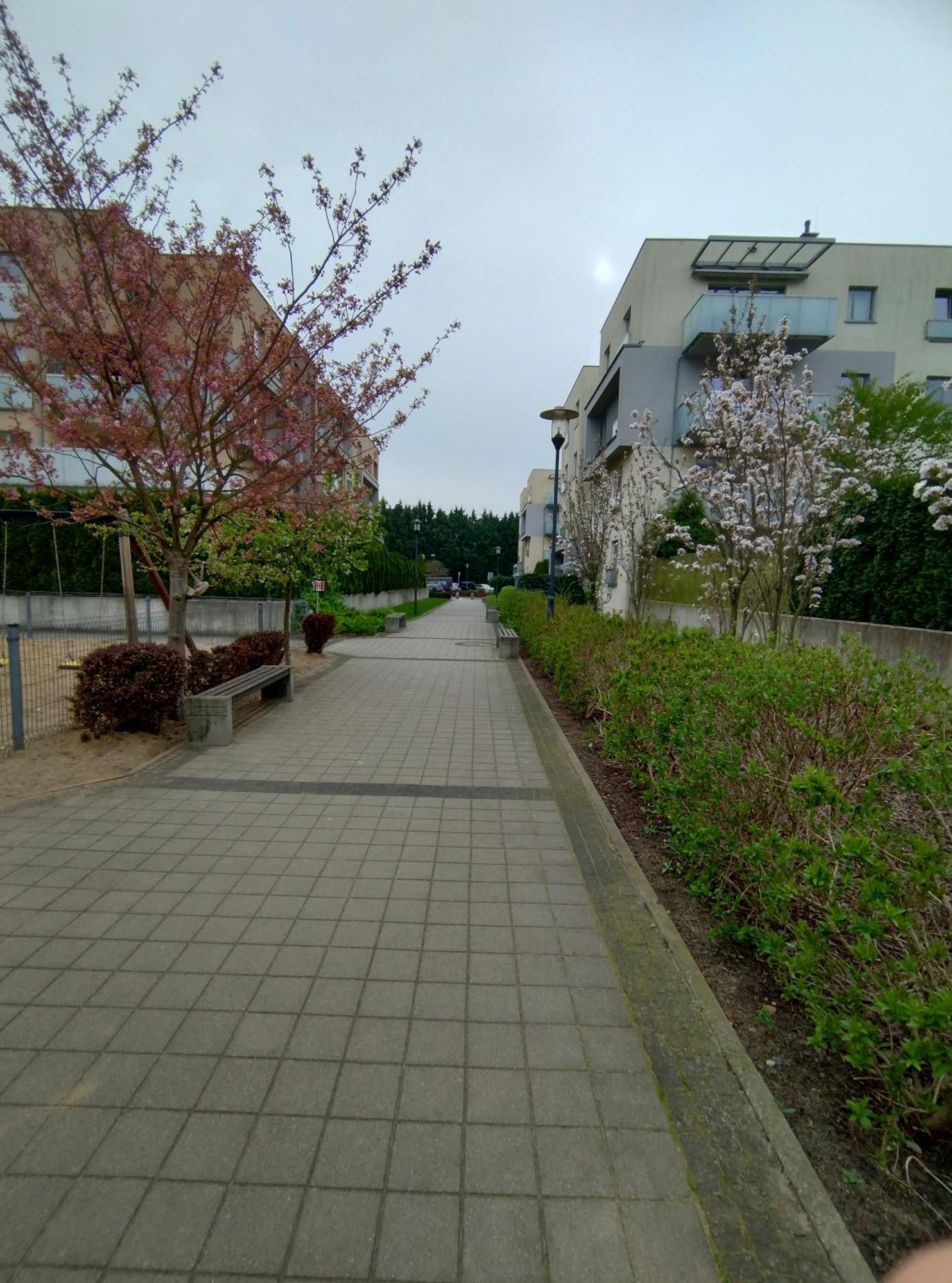 Apartament 1E Barbakan Шчечин Екстериор снимка